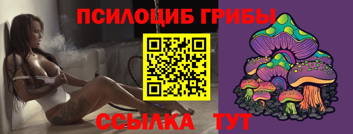 Оренбург  Галлюциногенные грибы мицелий  купить  цена  Вход с VPN 